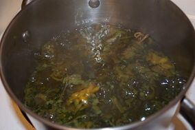 Treatment of varicose veins with decoctions